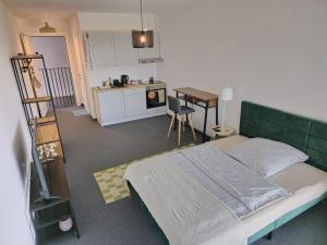 Alisaarigent Apartment