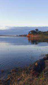 Tiny Samay Punto Claro