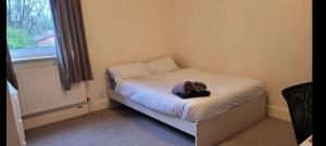 Three Bedroom House in Quiet Road near City Centre