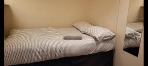 Three Bedroom House in Quiet Road near City Centre