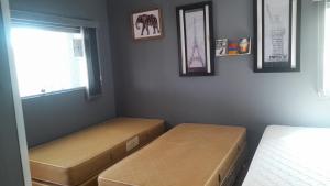 RECANTO K9 - SERRA NEGRA SP. No verão e no inverno