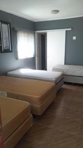 RECANTO K9 - SERRA NEGRA SP. No verão e no inverno