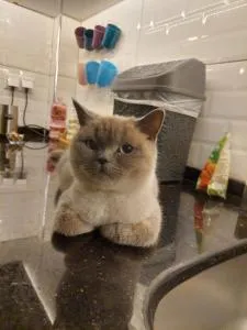 villa emirhan 2, doğa ile vadi içinde, sakinlik - Uzumlu