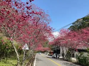 Breeze Hotspring Homestay - Lu-shan-wen-ch'üan