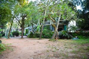 Waynes Nest Calangute Goa
