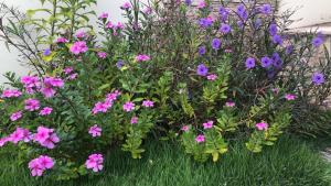 Itaparica Beach House