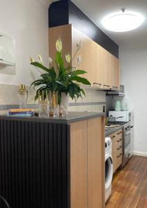 Compton Street Apartment