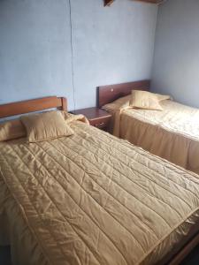 Hostal M Patagonia