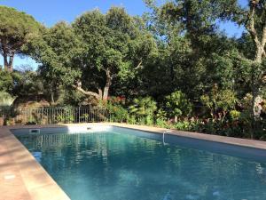 Sous les pins parasols