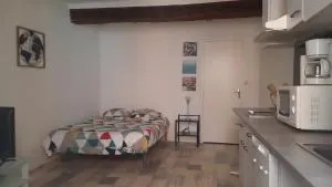 PROMO22-30AVR Toulouse 15mn Studio RDC lit 140 cm cuisine sde - Verfeil