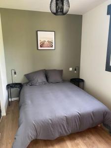 Appartements T2 clinique croix du sud climatise parking lit bultex : photos des chambres