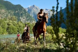 Appartements Oisans Vacances Gite Vermarine : photos des chambres