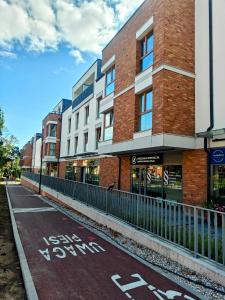 Kolorowa Perspektywa