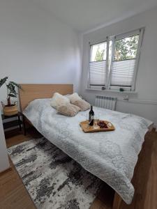 Apartament przy stawach