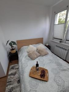 Apartament przy stawach