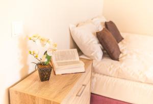 Dzirnavu City Center Apartment