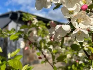 Charmante Erholungsoase - Neetzka