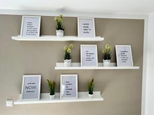 Inspirierendes Sport-Motto-Zimmer am Kocher-Jagst Radweg nähe Heilbronn