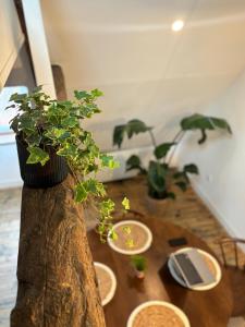 Le Grenier Chic, T2 Centre-Ville