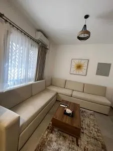 Celia - Kafr El Shaikh