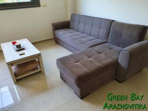 Green Bay Arachovitika