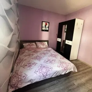 Jovana Apartman Vrnjacka Banja - 文加卡班加