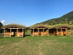 Pensiunea Casa Iancului