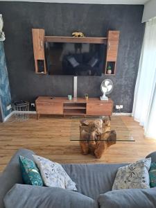 Appartements Appartement Cosy a Ales aux pieds des Cevennes : photos des chambres