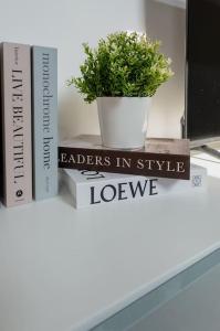 Appartements Suite Sous Velux T2 : photos des chambres