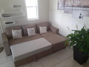 Maisons de vacances Notre nid d'amour - jacuzzi, piscine, billard, bar exterieur, terrain de boules : photos des chambres