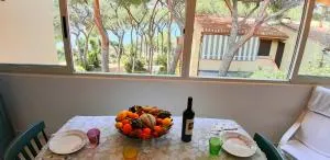 Casa Pillo Nereidi - 30 m dal mare e con vista mare - Terra Mala