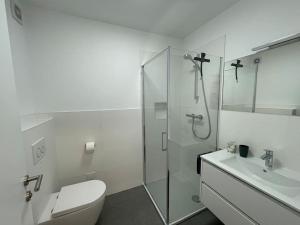 Appartement Traunsee