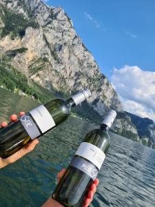 Appartement Traunsee