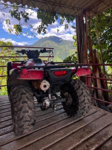 Finca la frondosa - La frondosa farm