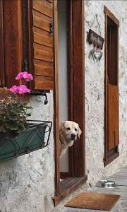 Holiday home in Tiarno di Sotto 23505