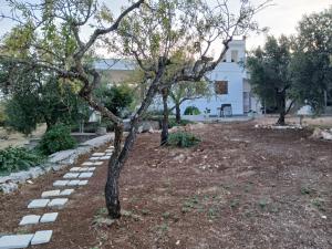 Natura e relax La campagna di Nonna Maria