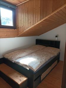 Burgberg Schöllnstein