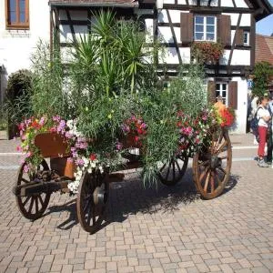 Gîte ''Les Bleuets'' - Scherwiller