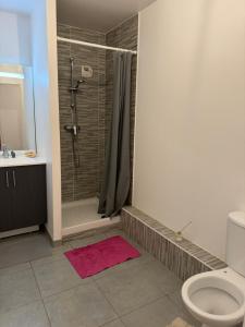 Splendide appartement type T2