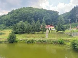 Pensiunea Daniela - Făget