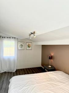 Maison au château de Laléard