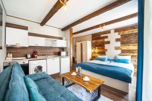 650m Ski in&out - Studio - FREE SPA and Parking