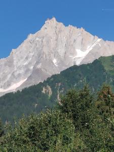 Beau studio dans la vallée de CHAMONIX