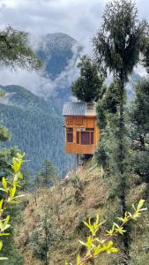 Hunting Wood Tree Cottage Seri