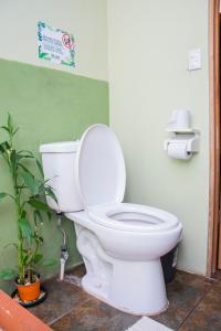 Gardens House, Airport Juan Santamaría, Alajuela, San José