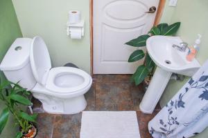 Gardens House, Airport Juan Santamaría, Alajuela, San José