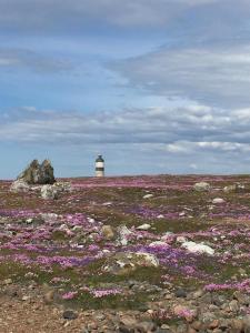 Halvboens gård i Olofsbo, Falkenberg