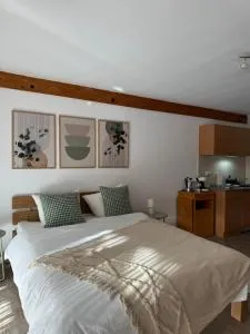 Gemütliches Studio mit Balkon - Eschbach