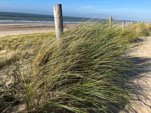 Vakantiewoning Zon, Zee & Duin - Egmond aan Zee