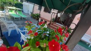 Primula by Villa Very